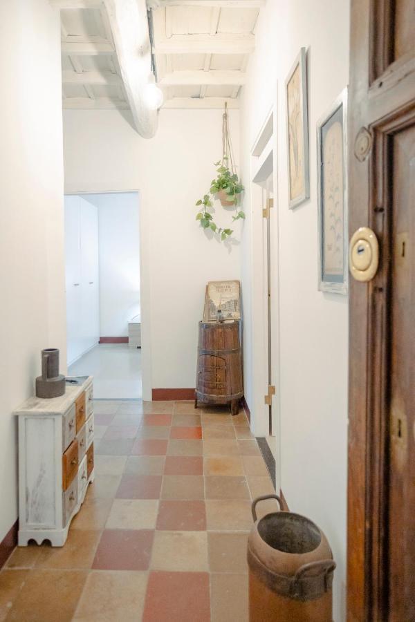 Apartament Domus Superior Navona - Pantheon Rzym Zewnętrze zdjęcie