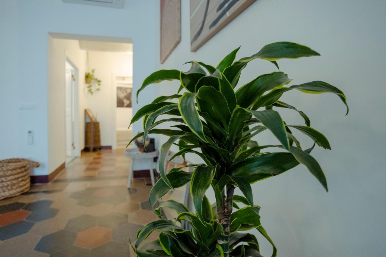 Apartament Domus Superior Navona - Pantheon Rzym Zewnętrze zdjęcie